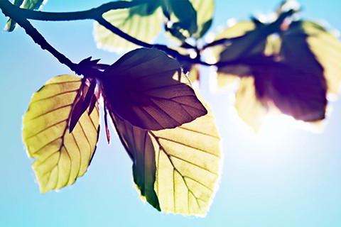 ѿԴwordpressģ ʺԴվ